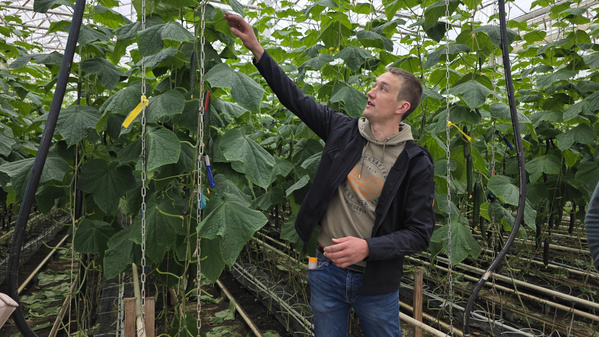 Besuch im Gewächshaus am Hof Engelhardt