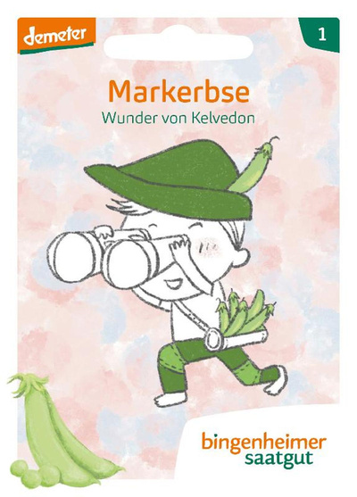 Produktfoto zu Saatgut Erbse, Wunder Kelvedon