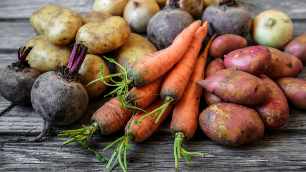 Frische aus eigener Herstellung Rote Beete Kartoffeln Karotten Zwiebeln