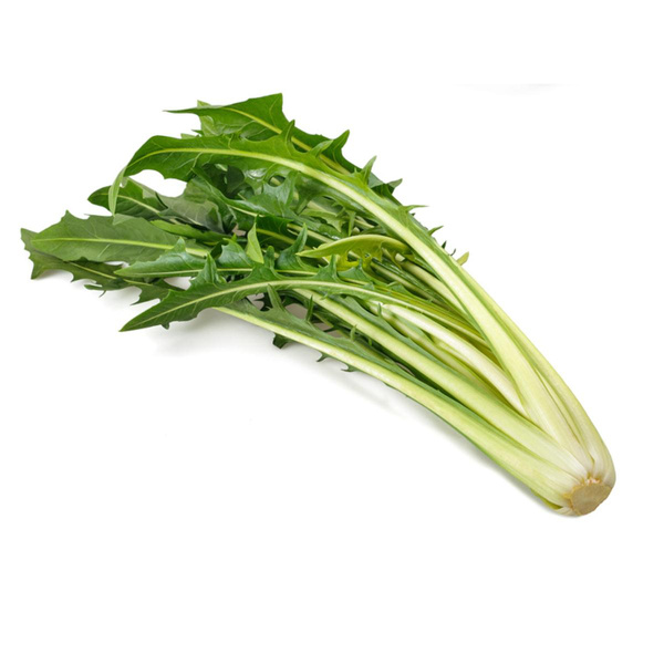 Produktfoto zu Salat Löwenzahn Catalogna