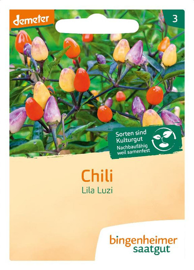 Produktfoto zu Saatgut Chili Lila Luzi