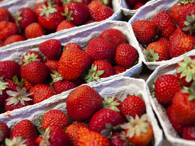 Erdbeeren