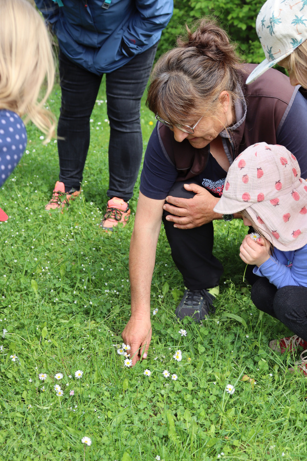 Rosi bei einer Kräuterführung