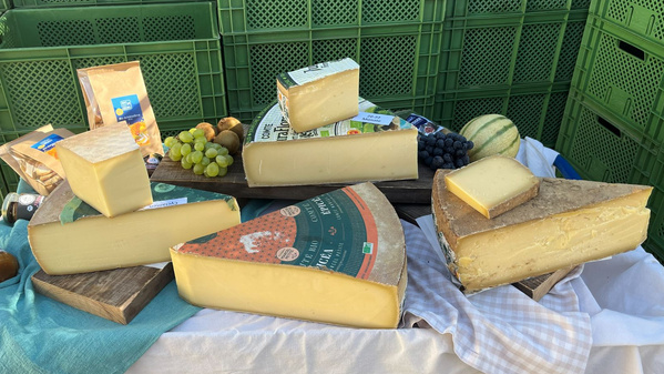 Vier Sorten Comte auf Holzbrettern angerichtet