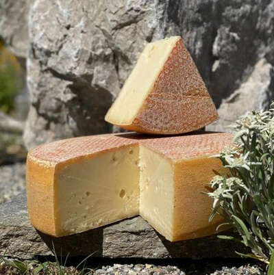 Produktfoto zu Zillertaler Alpenstürmer, 5 Monate, lak.fr.