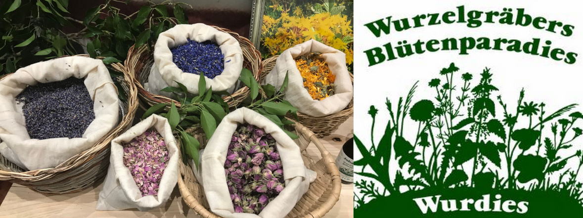 Collage: Blütenknospen und Logo Wurdies