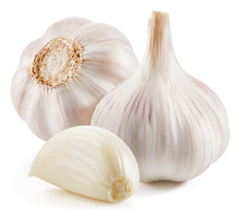Knoblauch