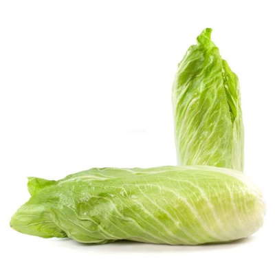 Produktfoto zu Salat Zuckerhut