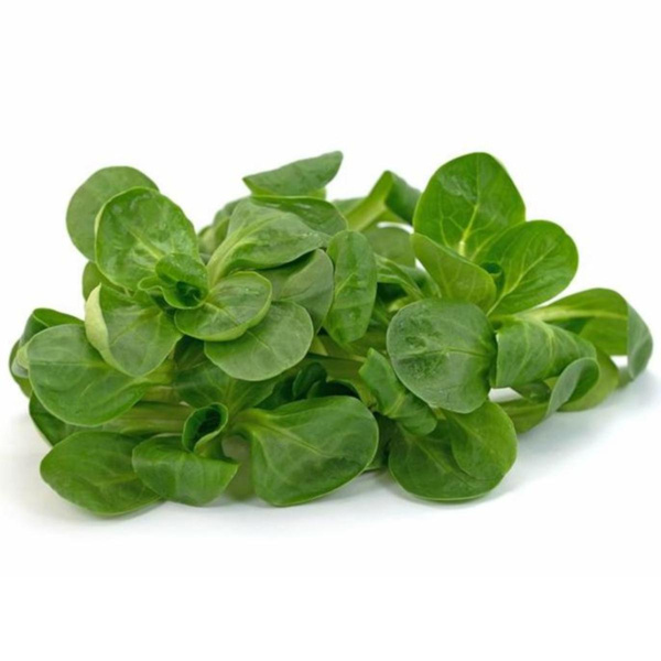 Produktfoto zu Feldsalat Regio 100g