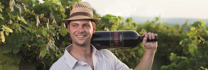 Person im Weinberg mit Flasche Wein