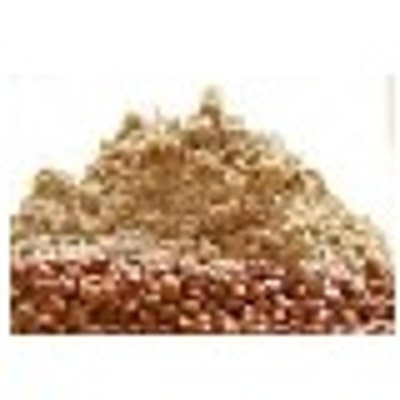 Produktfoto zu Prospekt Braunhirse