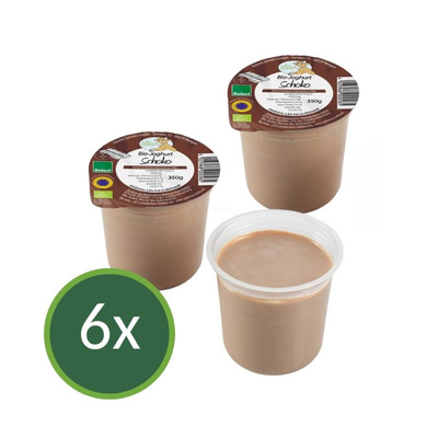 Produktfoto zu Joghurt Schoko 6x350 g