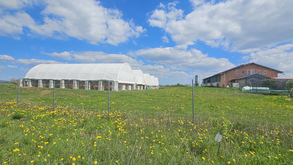 Der Stall für die Ziegen