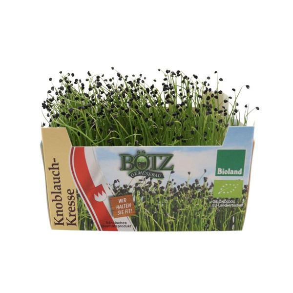Produktfoto zu Knoblauch-Kresse