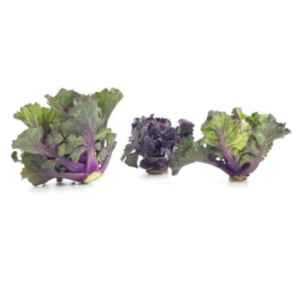 Produktfoto zu Flower Sprouts