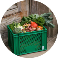 Ökokiste mit frischem Gemüse steht vor einer Haustür