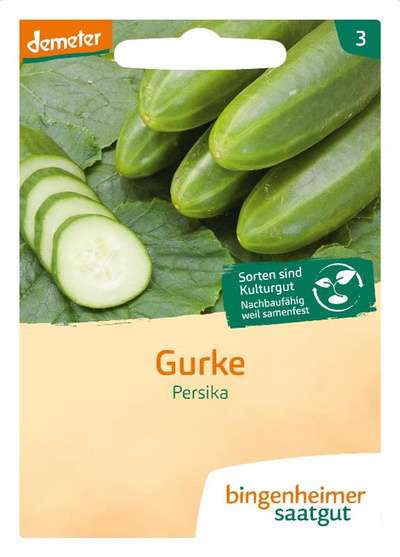 Produktfoto zu Saatgut Freiland Gurke Persika