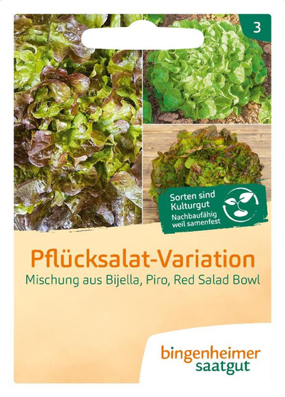 Produktfoto zu Saatgut Pflücksalat Variation