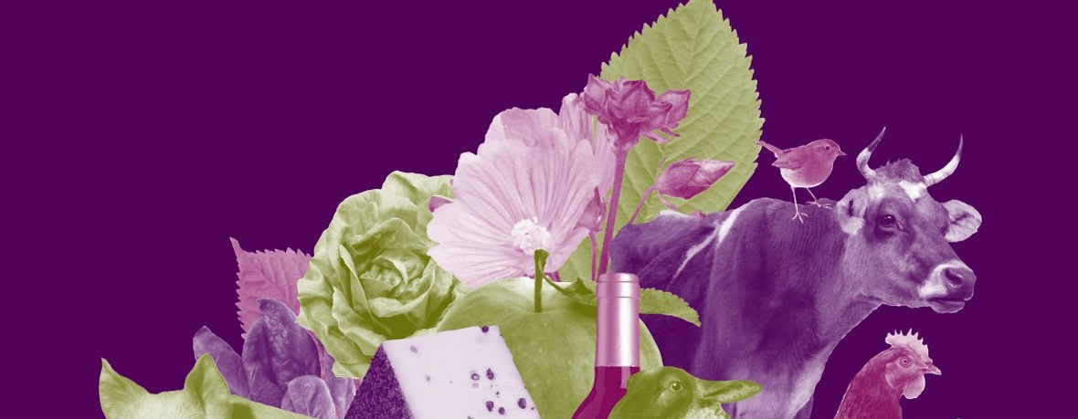 Weiling Stimmungsbild