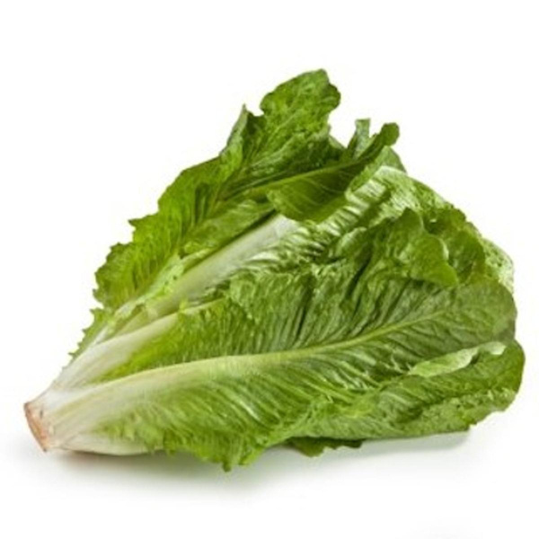 Produktfoto zu Salat Romana