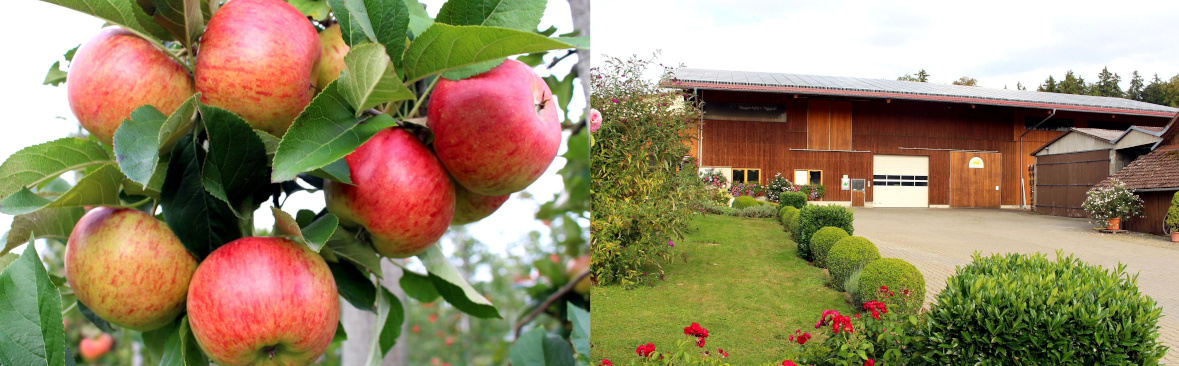 Collage: Links sind Äpfel zu sehen, rechts das Firmengebäute von Öko-Obst Blank