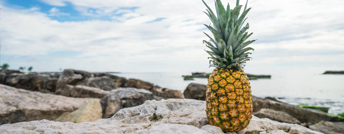 Ananas am Ufer
