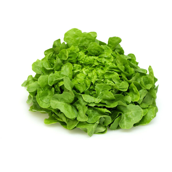 Produktfoto zu Salat Eichblatt grün