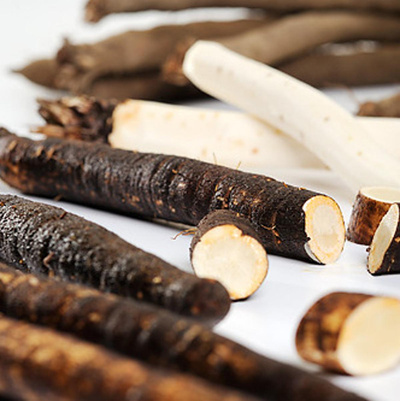 Produktfoto zu Schwarzwurzel