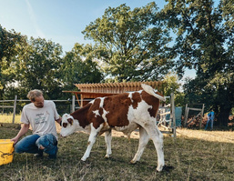 Landwirt Johannes Fetz und Kalb