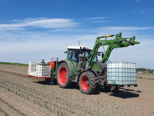 Traktor auf Acker