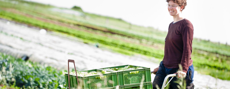 Mitarbeiterin vom Gemüsebau Kratzer auf dem Acker