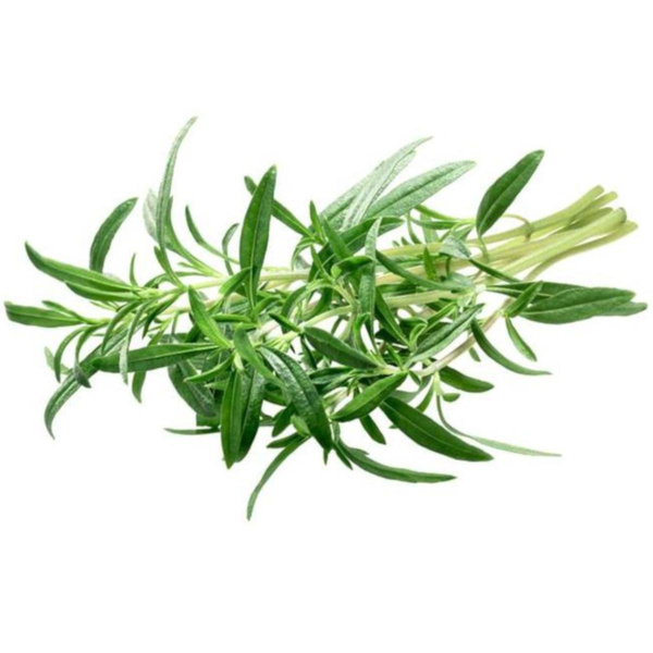 Produktfoto zu Kräuter: Bohnenkraut